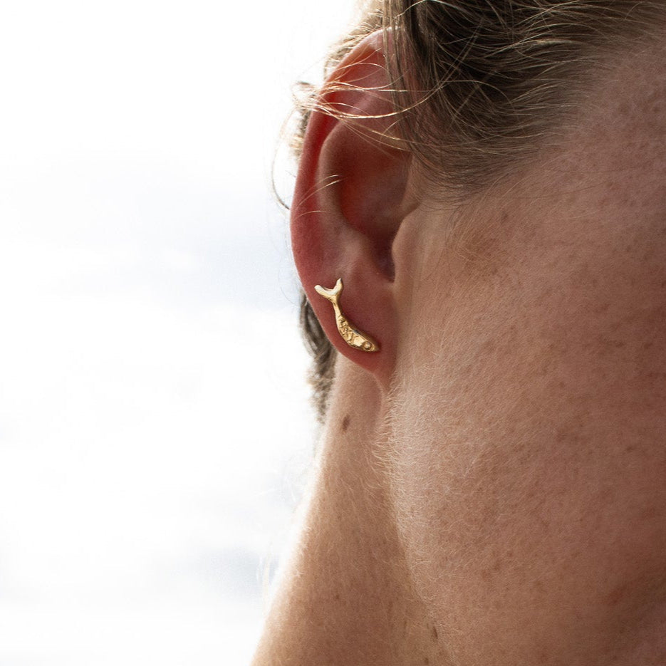 KM Fish Studs